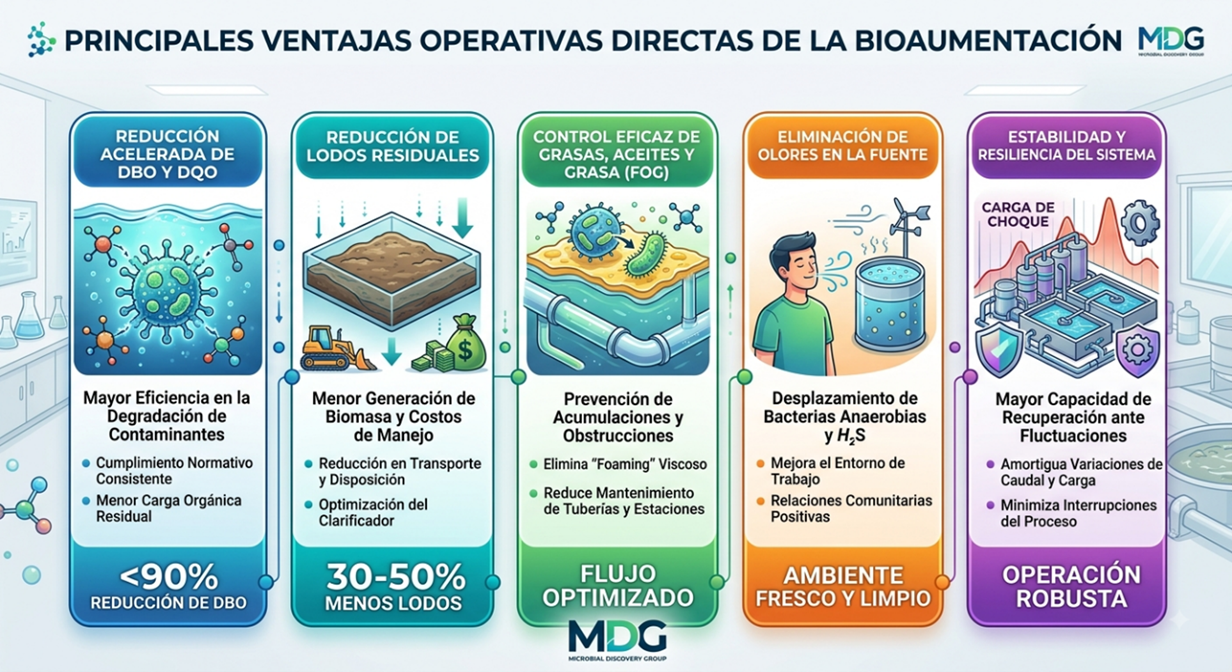 Ventajas operativas directas de la bioaumentación avanzada